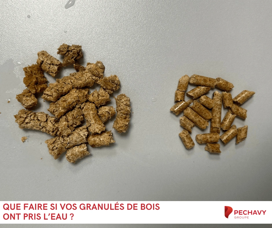 Que faire si vos granulés de bois ont pris l’eau pechavy energie