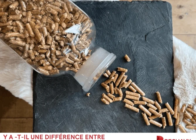 Différence entre granulés de bois et pellets (1)