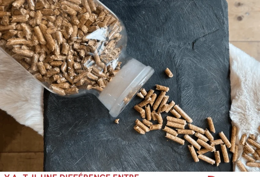Différence entre granulés de bois et pellets (1)