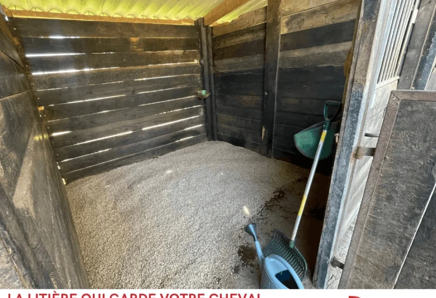 La litière qui garde votre cheval au sec plus longtemps