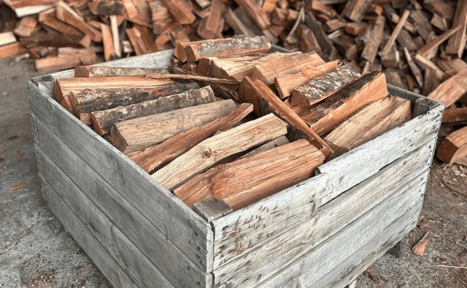 Tout savoir sur le bois de chauffage H1 G1 avec Péchavy !