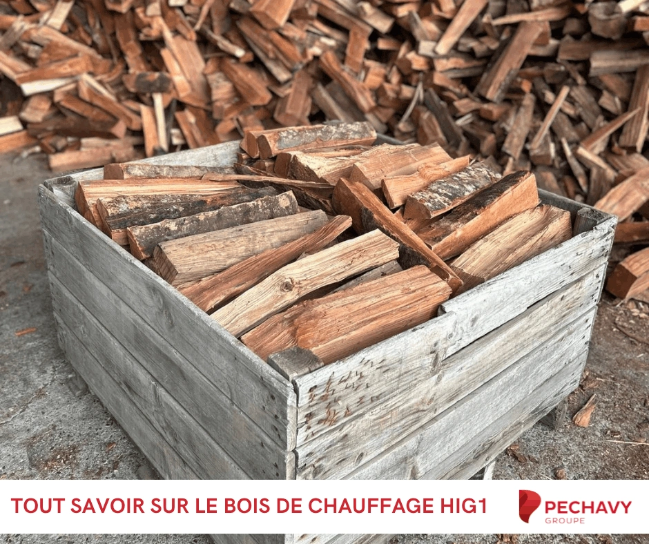 Tout savoir sur le bois de chauffage H1 G1 avec Péchavy !
