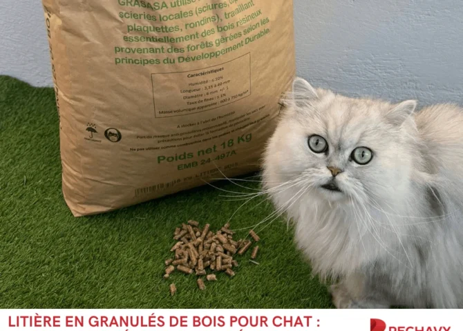 Litière en granulés de bois pour chat l’alternative écologique (et économique) qui révolutionne le bac à litière