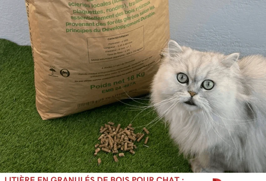 Litière en granulés de bois pour chat l’alternative écologique (et économique) qui révolutionne le bac à litière