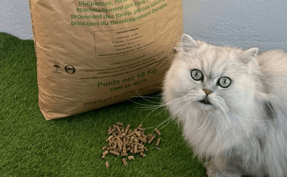 Litière en granulés de bois pour chat l’alternative écologique (et économique) qui révolutionne le bac à litière
