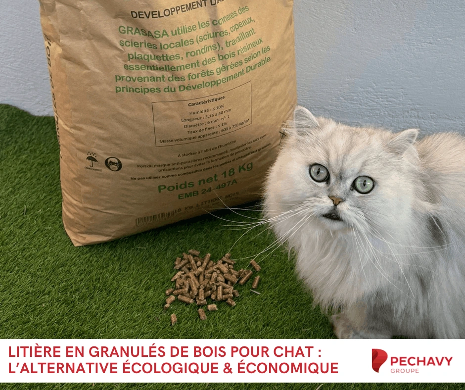 Litière en granulés de bois pour chat l’alternative écologique (et économique) qui révolutionne le bac à litière