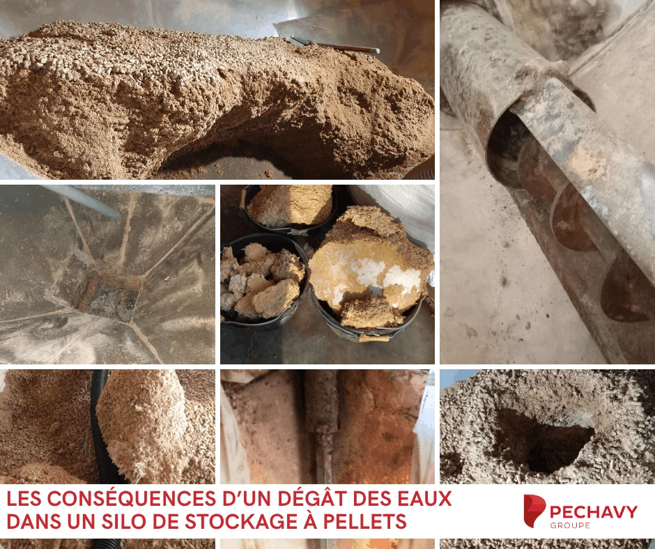 Les conséquences invisibles d’un dégât des eaux dans un silo de stockage à granulés de bois
