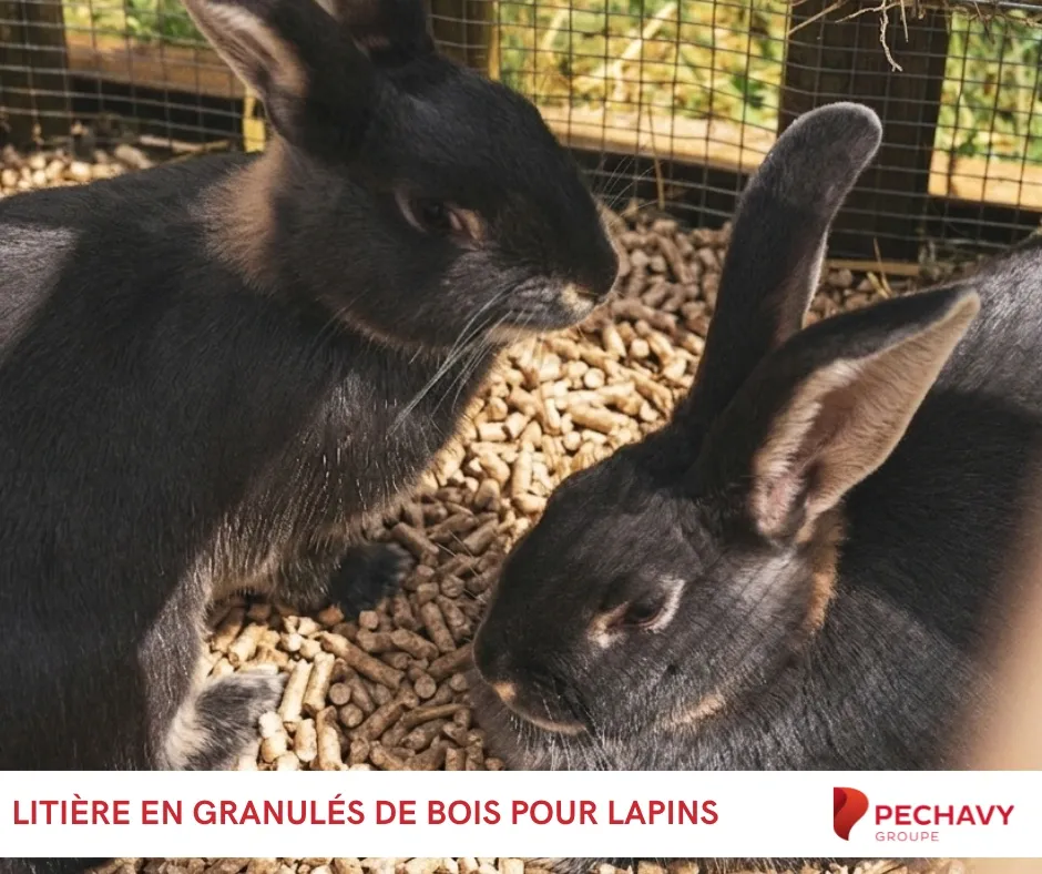 litière en granulés de bois pour lapins Péchavy