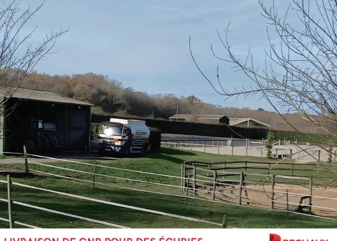 GNR Esso Motor Plus pour écuries et exploitations équines - Livraison Péchavy
